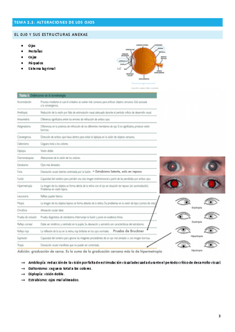 TEMA-2.pdf