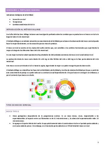 SEMINARIOS.pdf