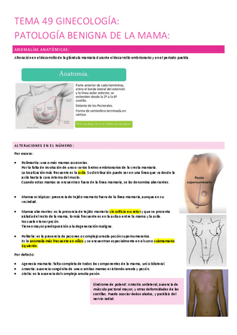 49.-patologia-benigna-de-la-mama.pdf