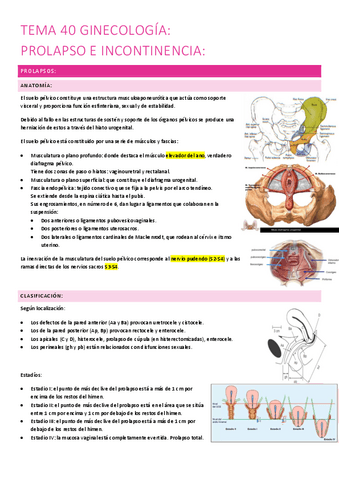 40.-prolapso-e-incontinencia.pdf