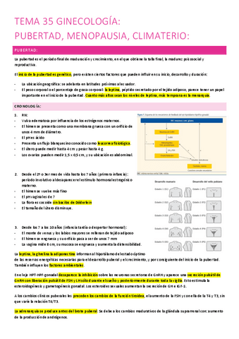 35.-pubertad-menopausia-climaterio.pdf