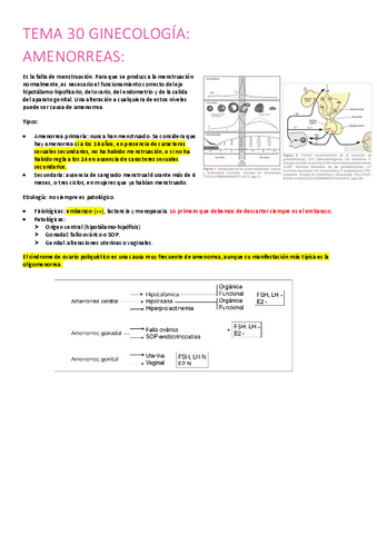 30.-amenorreas.pdf