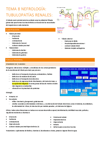 8.-tubulopatias-renales.pdf