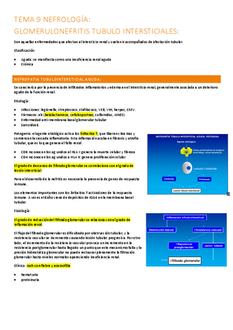 9.-nefritis-tubulointersticiales.pdf
