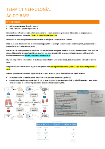 11.-acido-base.pdf