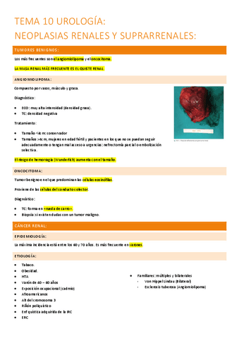 10.-cancer-renal-y-suprarrenal.pdf