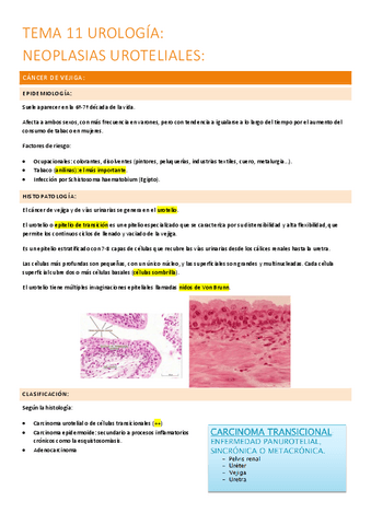 11.-neoplasias-uroteliales.pdf