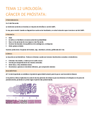 12.-cancer-de-prostata.pdf