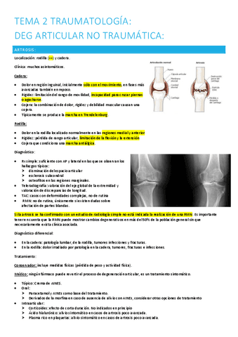 2.-artrosis.pdf