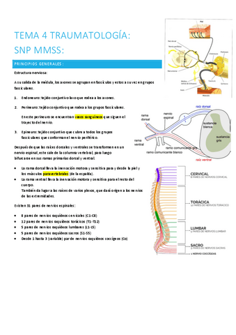 4.-snp-mmss.pdf