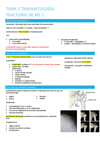 5.-fracturas-ms-1.pdf