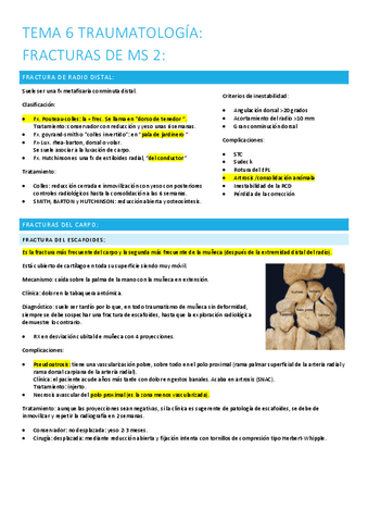 6.-fracturas-ms2.pdf