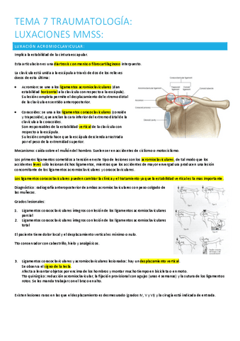 7.-luxaciones-mmss.pdf