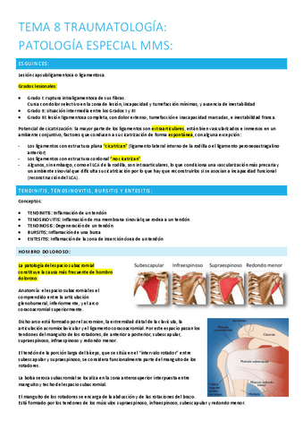 8.-patologia-especial-mmss.pdf