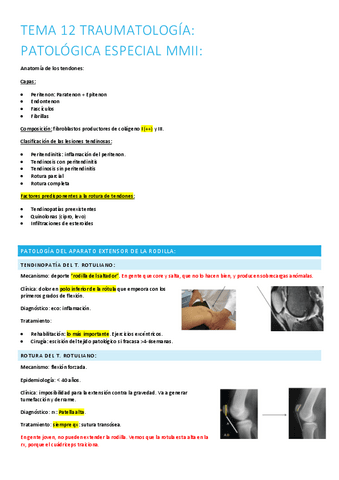 12.-patologia-especial-mmii.pdf