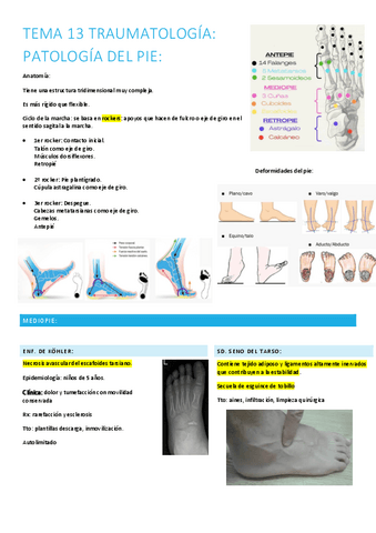 13.-patologia-del-pie.pdf
