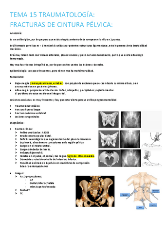 15.-fracturas-de-cintura-pelvica.pdf