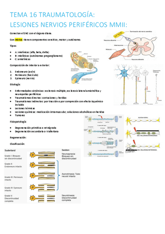 16.-lesiones-nervios-perifericos-mmii-1.pdf