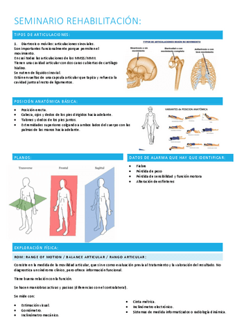 Seminario-rehabilitacion.pdf