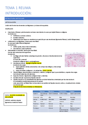 1.-introduccion.pdf