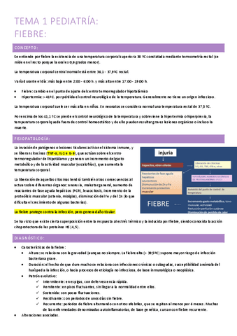 1.-fiebre.pdf