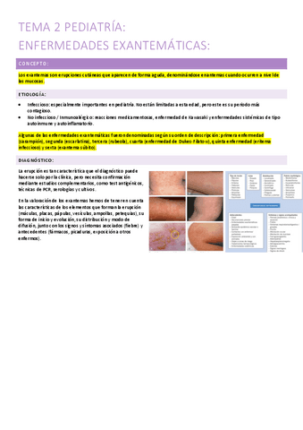 2.-enfermedades-exantematicas.pdf