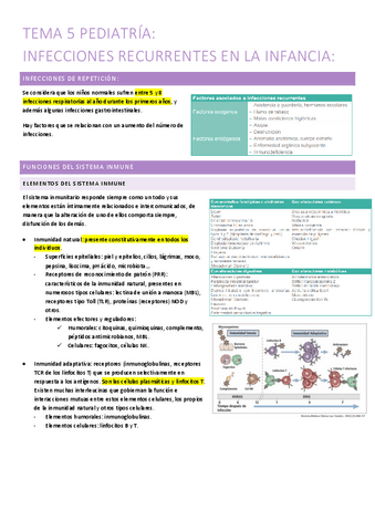 5.-ID.pdf