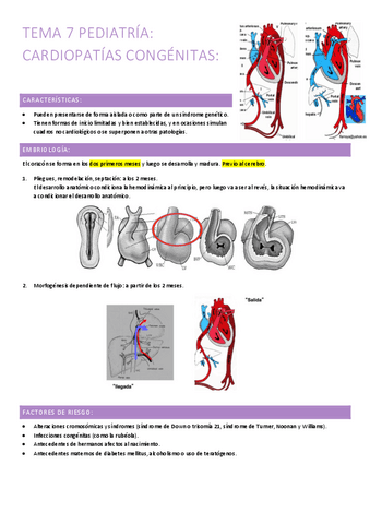 7.-cardiopatias-congenitas.pdf