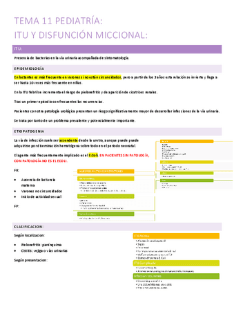 11.-itu-y-disfuncion-miccional.pdf