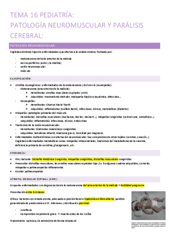 16.-patologia-nm-y-paralisis-cerebral.pdf