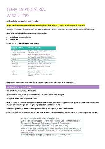 19.-vasculitis.pdf
