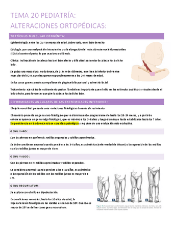 20.-alteraciones-ortopedicas.pdf