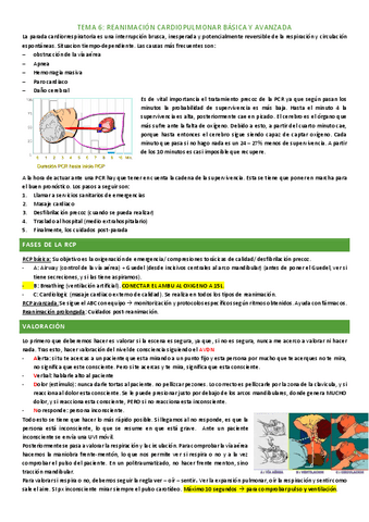 tema-6.pdf