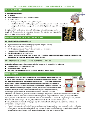 tema-13.pdf