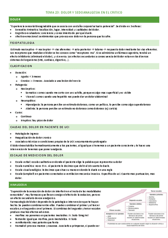 tema-23.pdf