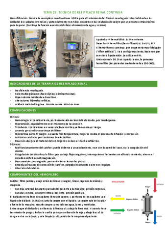 tema-29.pdf