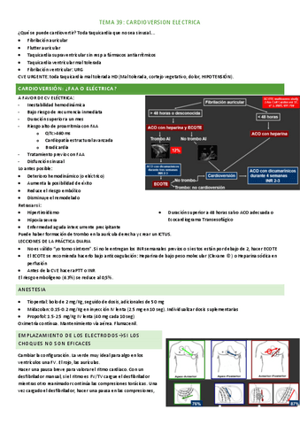 tema-39.pdf