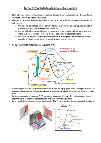 Termodinamica-Tema-1.pdf