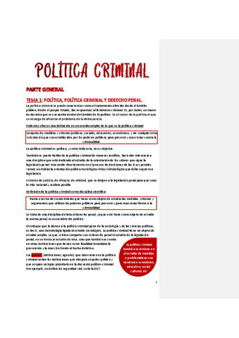 Politica-criminal.pdf