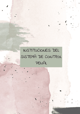 Instituciones-procesal-y-penal.pdf