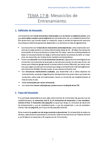 T-17-B-Mesociclos-de-Entrenamiento.pdf