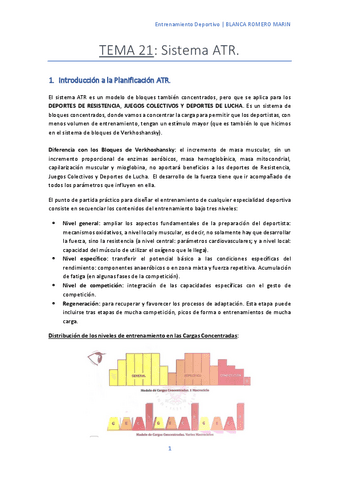 T-21-Sistema-ATR.pdf