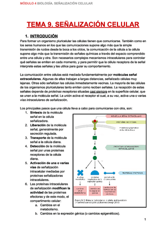 Apuntes-de-Biologia-Tema-9-Modulo-4.pdf