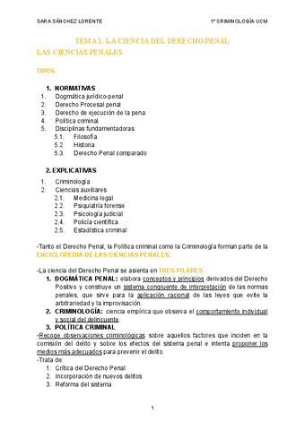 T1-Derecho-Penal.pdf