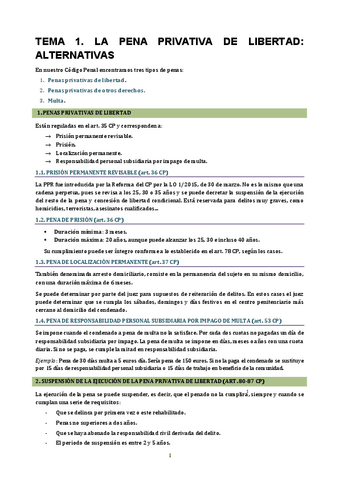 DERECHO-PENITENCIARIO-todo-copia.pdf