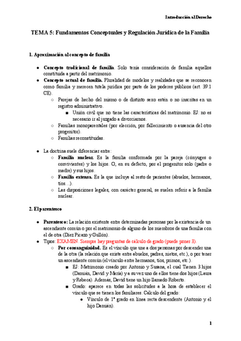 Introduccion-al-Derecho-Tema-5.pdf