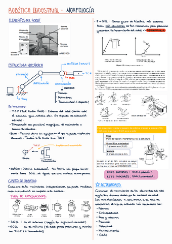 Tema-2-Morfologia-1.pdf