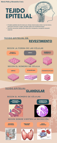 TEJIDOS-PROYECTO.pdf