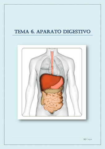 TEMA-6.-SISTEMA-DIGESTIVO.pdf
