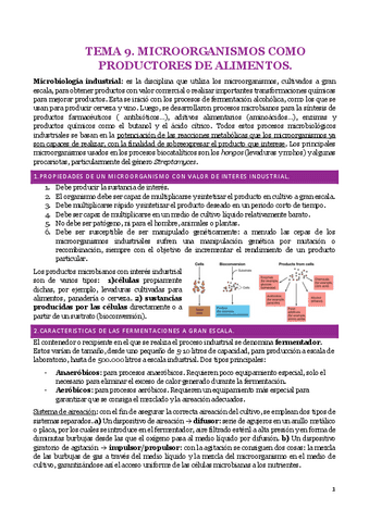 TEMA-9.pdf